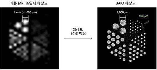 뉴시스