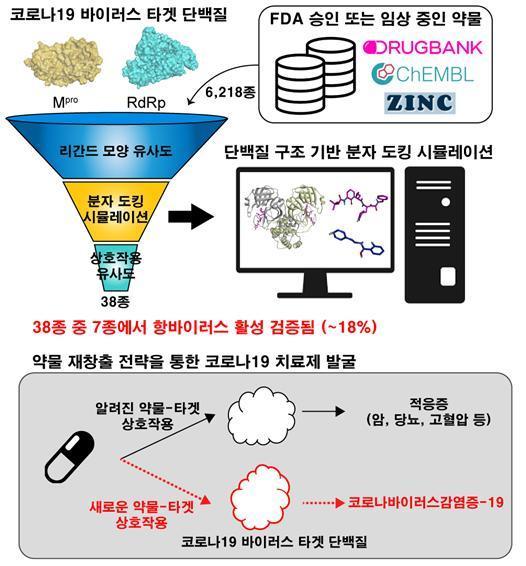 뉴시스