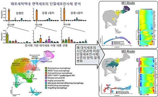 뉴시스