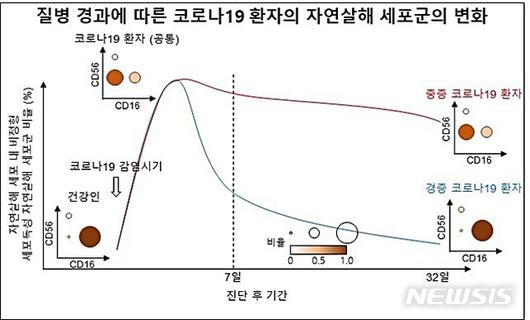 뉴시스