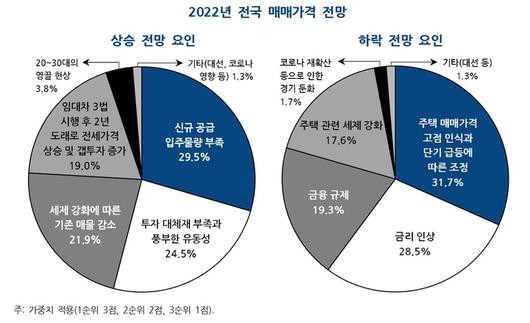 뉴시스