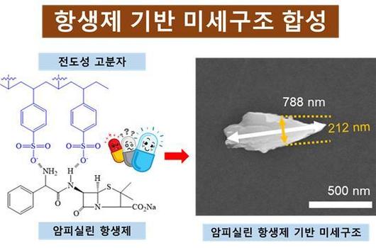 뉴시스