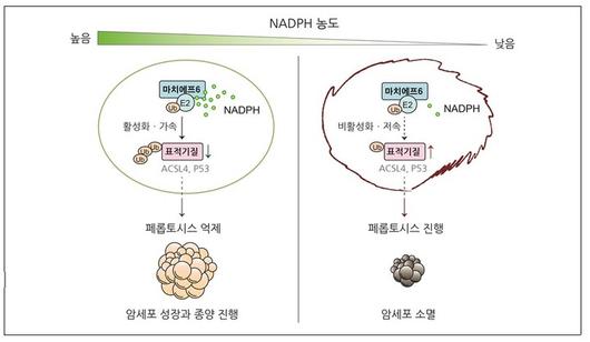 뉴시스