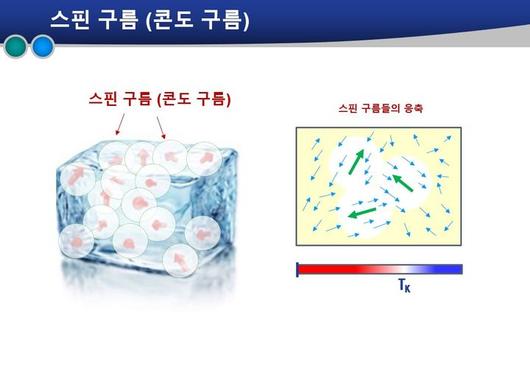 뉴시스