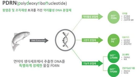 뉴시스