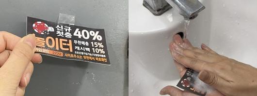 뉴시스