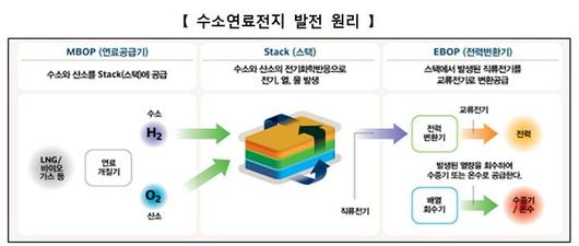 뉴시스