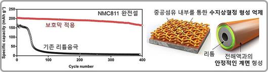 뉴시스