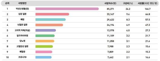 뉴시스