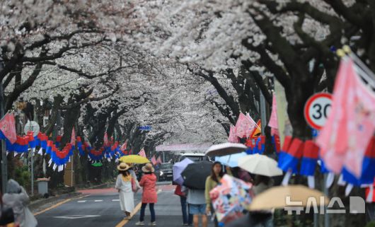 뉴시스