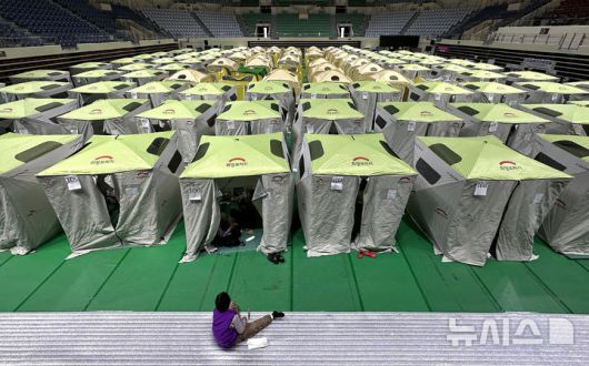 뉴시스