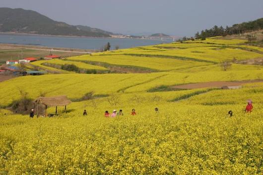 아주경제