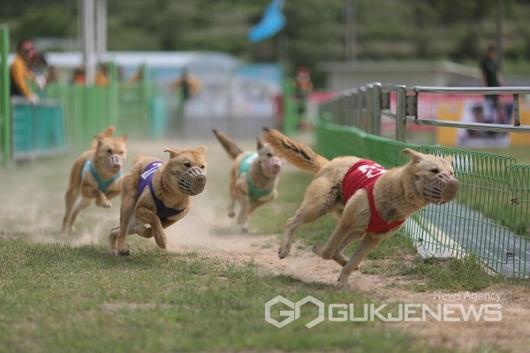 국제뉴스