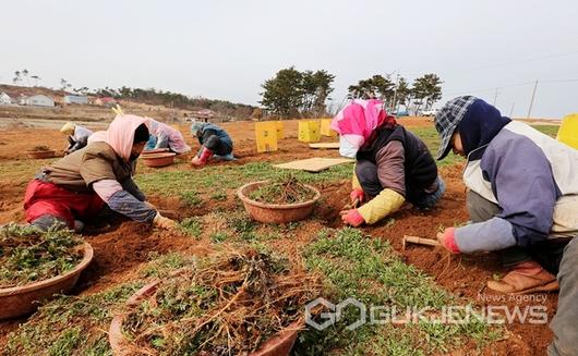 국제뉴스