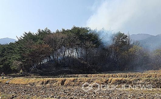 국제뉴스