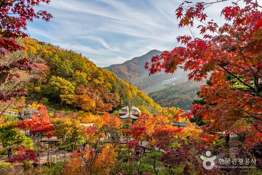 국제뉴스