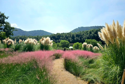 국제뉴스