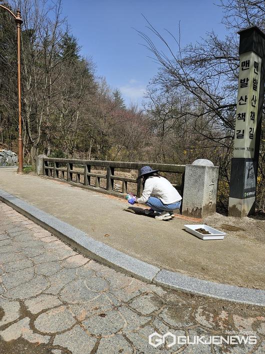 국제뉴스