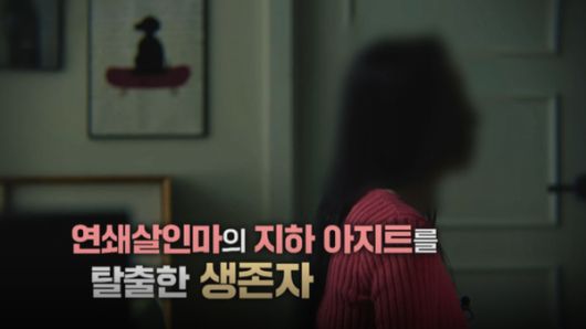 국제뉴스