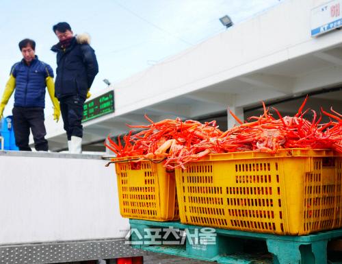 스포츠서울