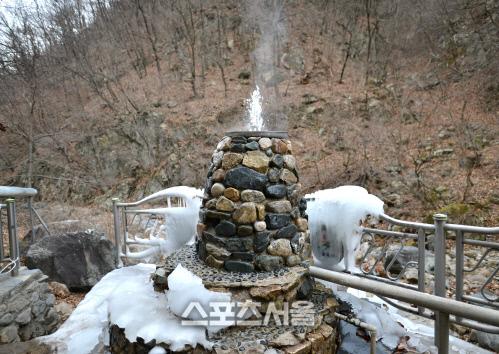 스포츠서울