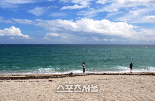 스포츠서울