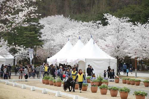 스포츠서울