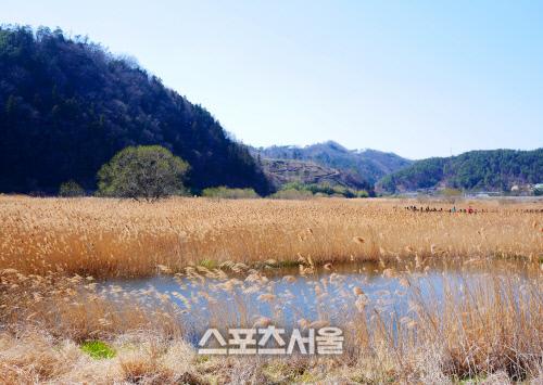 스포츠서울