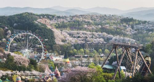 스포츠서울