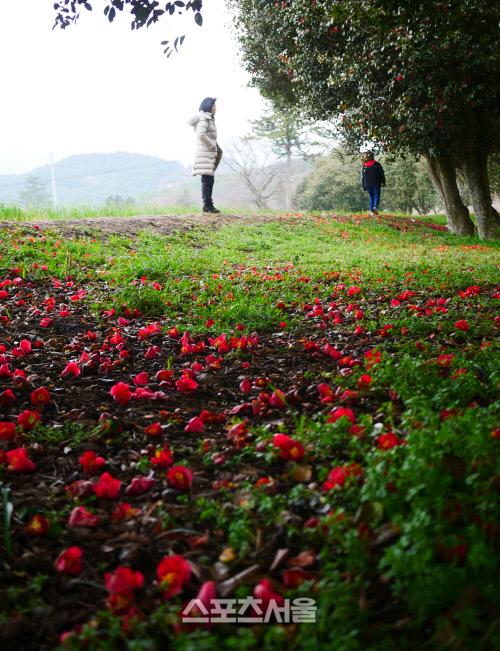 스포츠서울