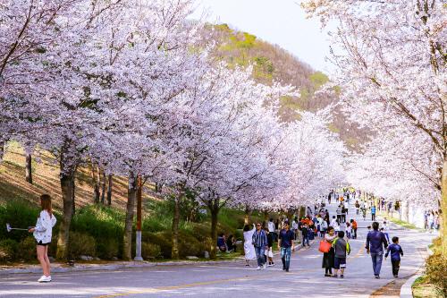 스포츠서울