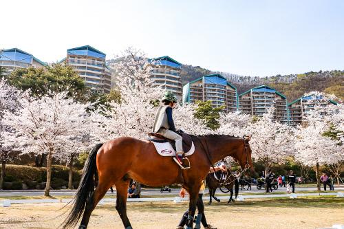 스포츠서울