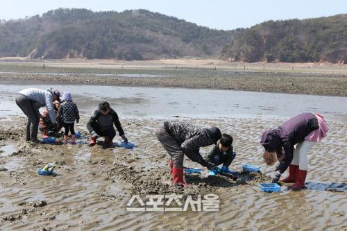 스포츠서울