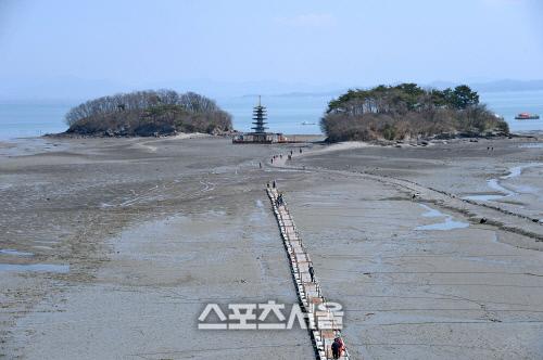 스포츠서울