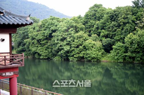 스포츠서울