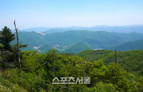 스포츠서울