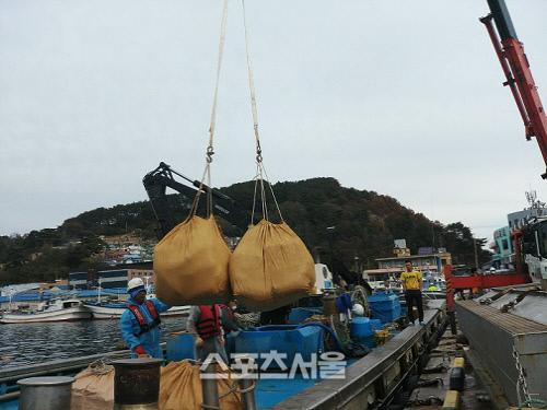 스포츠서울