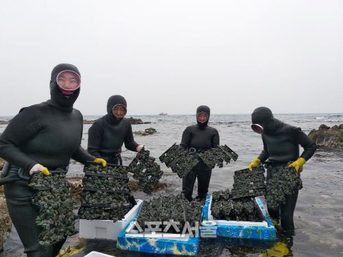 스포츠서울