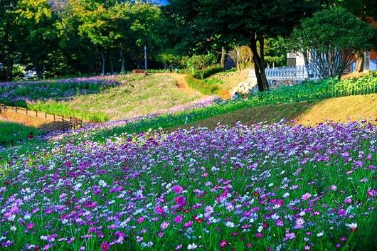 스포츠서울