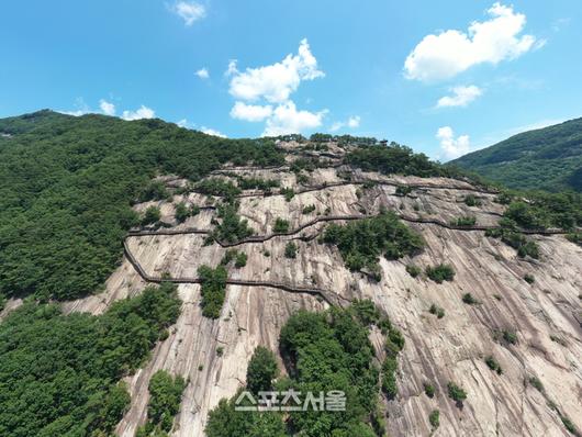 스포츠서울