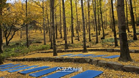 스포츠서울