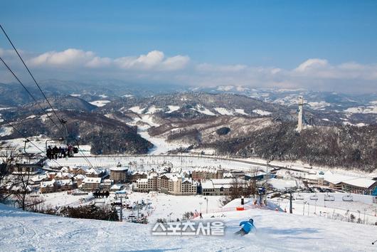 스포츠서울