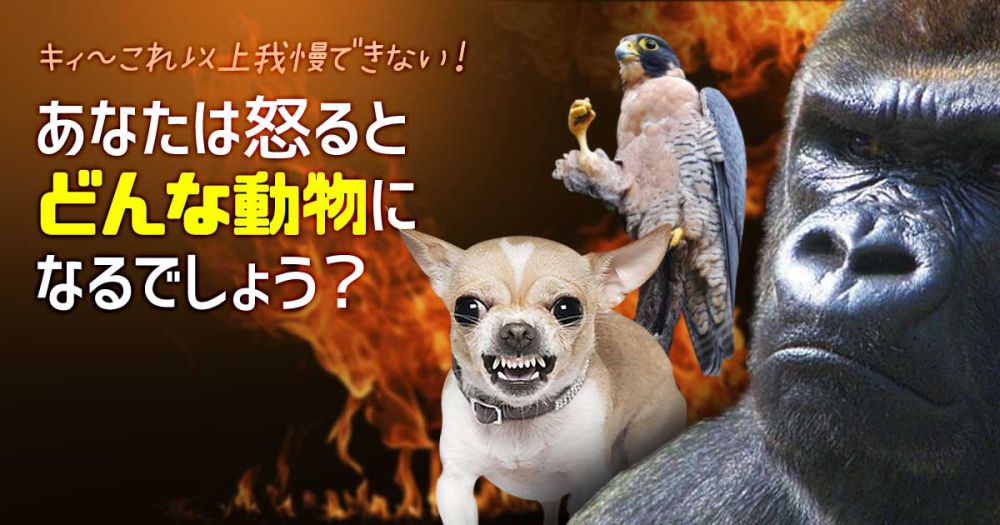 あなたは怒るとどんな動物に変身するでしょうか？