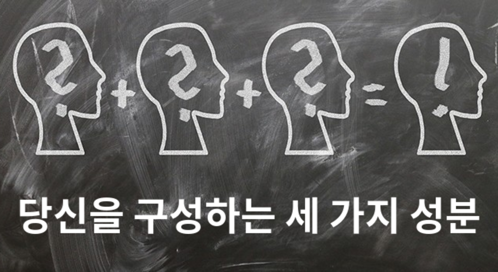 당신을 구성하는 세 가지 성분