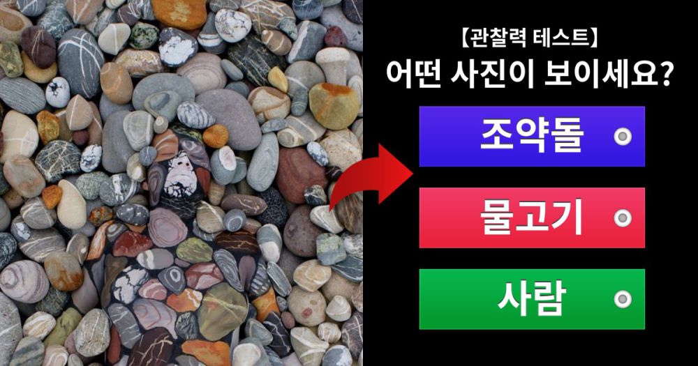 【관찰력 테스트】 이미지 속 숨어있는 함정을 찾아내보자!