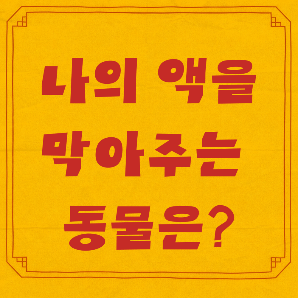 나의 액막이 동물 테스트