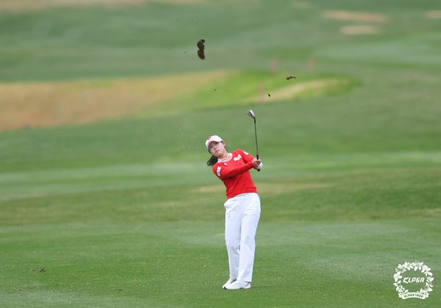 공동 선두 경쟁 보도 이미지