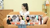 <b>서현 "소녀시대, 시시콜콜 연락 안 해...너무 친해서 가족 같아"</b>