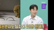 <b>결혼반지 40만원…이동하·소진 초절약 결혼식 어떻길래</b>