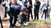 <b>남편 ‘단종’ 장릉까지 500년 거리…정순왕후 ‘들꽃’을 보냈다</b>